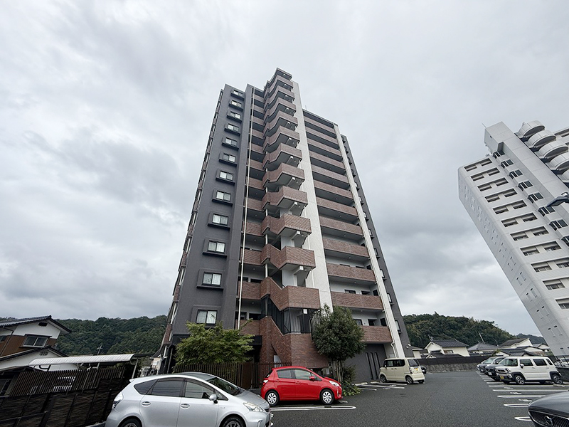 8036 (1)